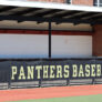 Adelphi U Field3