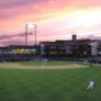 Blue Crabs Field 2