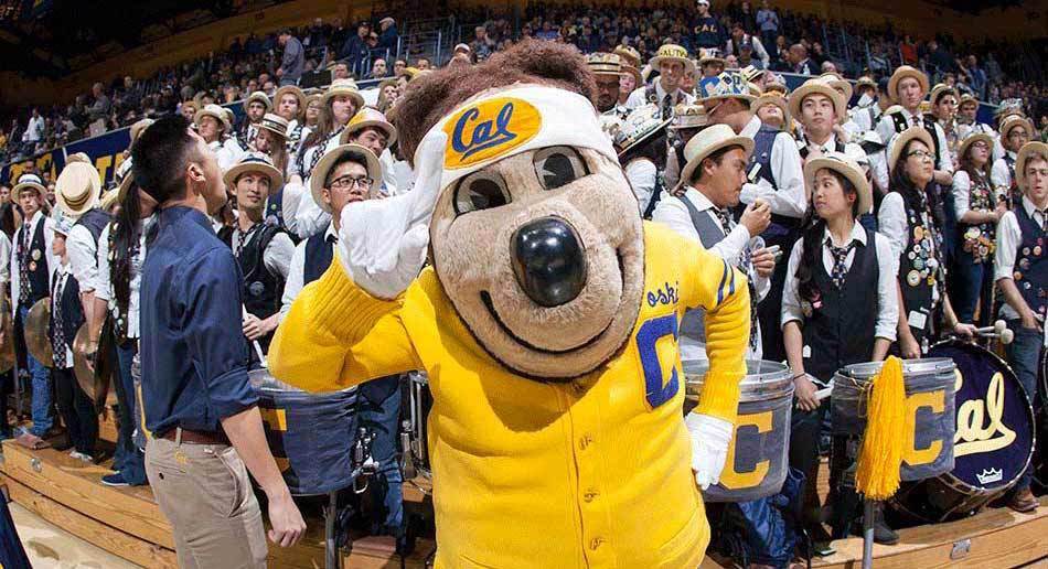 Cal Boys Basketball Camp
