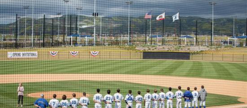 Dolphin Field