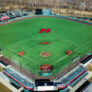 Fiondella Field2