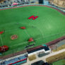 Fiondella Field3