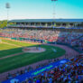 Kane County Cougars 6