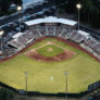 Melaleuca F Ield Overhead Shot