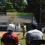 Pickles Baseball 24 2