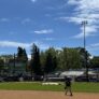 Pickles Baseball 24