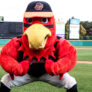 Red Wing Mascot