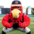 Rochester Mascot