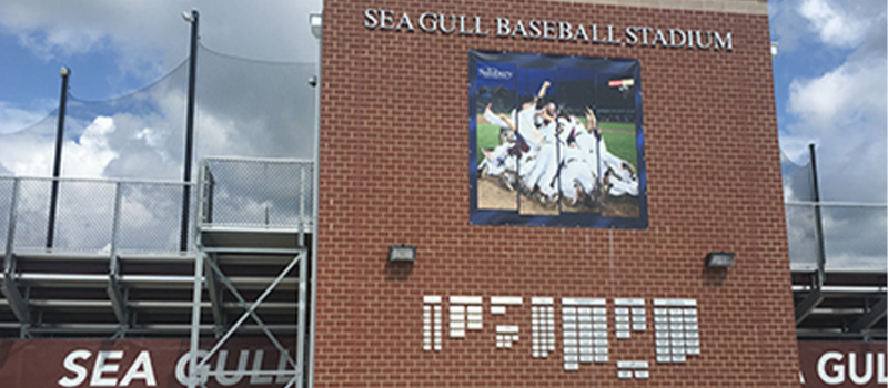 SG Baseball Stad1